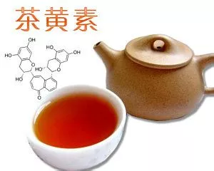 茶黄素含量最多的茶