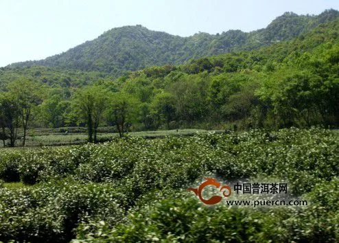 无公害茶叶产地环境要求