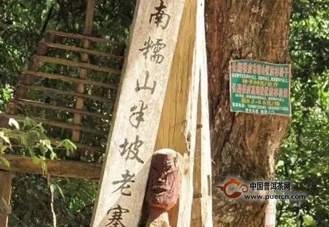 南糯半坡老寨普洱茶