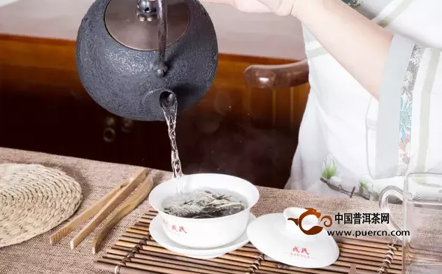 闽南的茶文化
