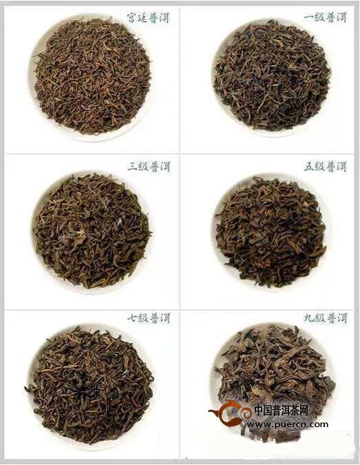 普洱茶最好的料是什么料？分幾級？