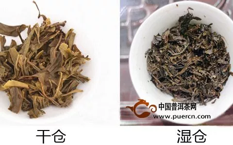 两张图分辨出干仓普洱茶和湿仓普洱茶