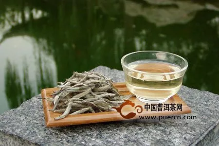 白茶的起源