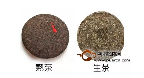 普洱生茶和熟茶哪個貴？