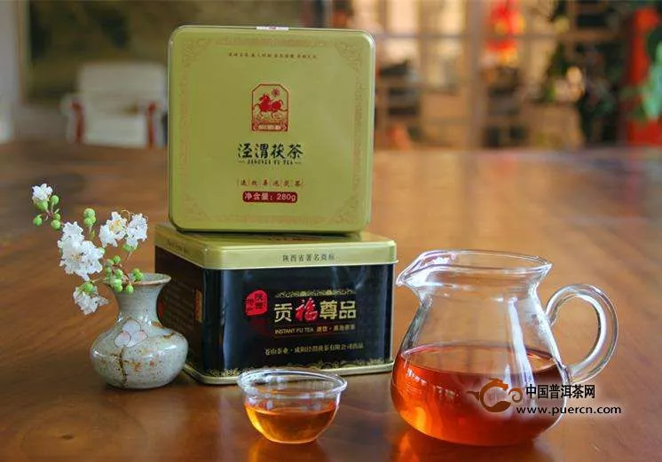 黑茶和泾渭茯茶的区别是什么？