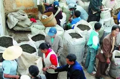 普洱茶行业的十大盈利模式