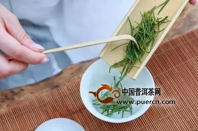 安吉白茶的副作用有哪些？