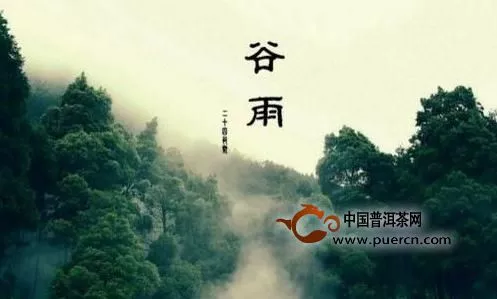 谷雨喝什么茶養(yǎng)生？