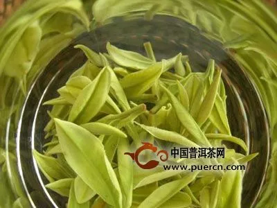 安吉白茶哪個牌子好？