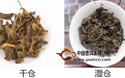 一眼辨別你的普洱茶是干倉還是濕倉的方法