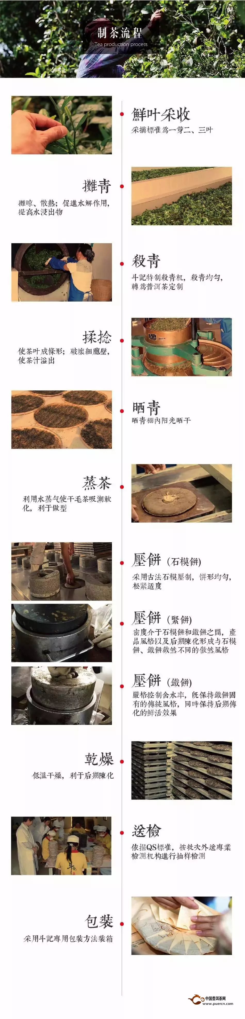 普洱茶饼制作流程图