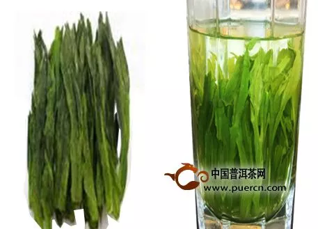 綠茶紅茶的不同之處