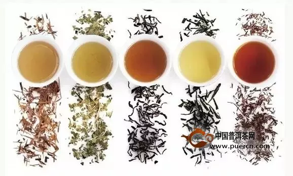 如何区分各种茶叶的寒性、凉性、平性和温性？