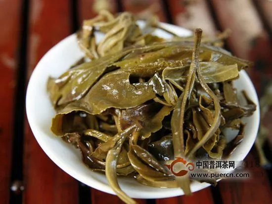 普洱茶“老黃片”應(yīng)該如何飲用？