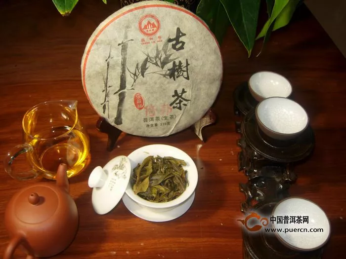 倚邦普洱茶山及茶叶品质特征简述