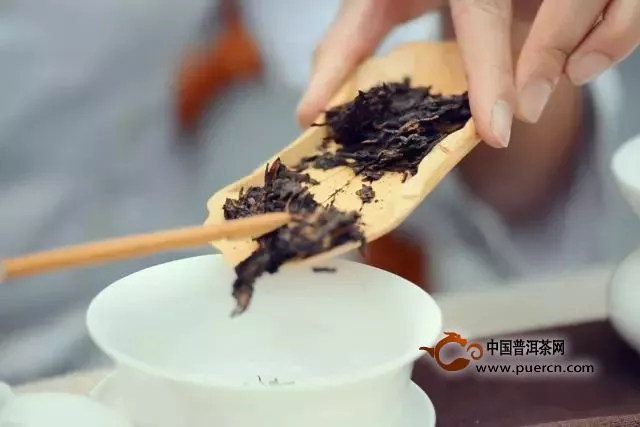 爱喝普洱茶的她，有魅力的她