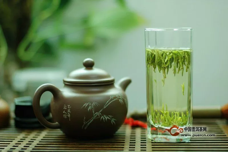 黄茶与绿茶的5大区别