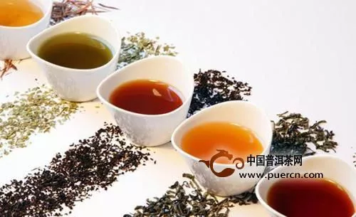 茶博会上怎么看买的茶好不好？看这九点就知道了