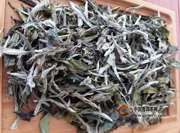 伪造白牡丹与正宗白牡丹的区别