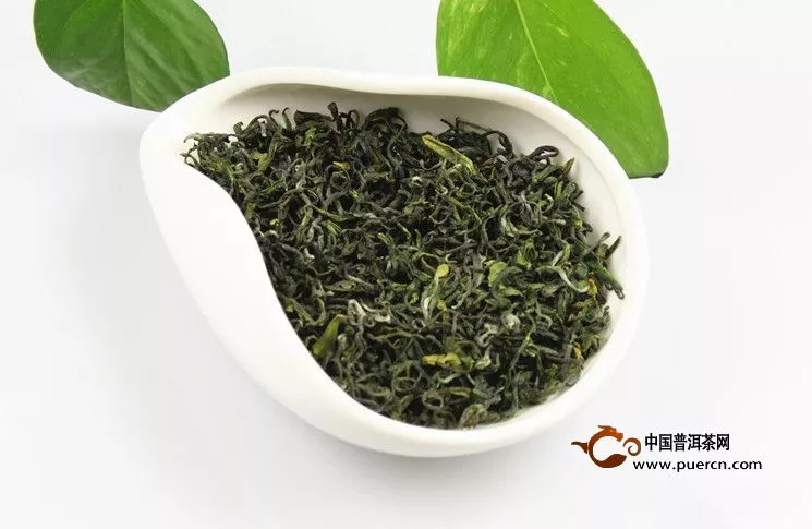 日照綠茶春茶與秋茶該如何來(lái)鑒別