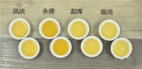 臨滄四大雪山普洱茶的特點和區(qū)別