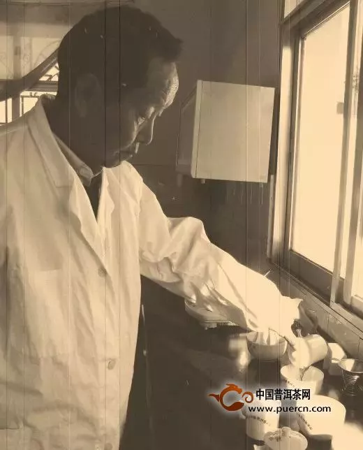 邹炳良：一代普洱茶宗师60年制茶的传奇故事