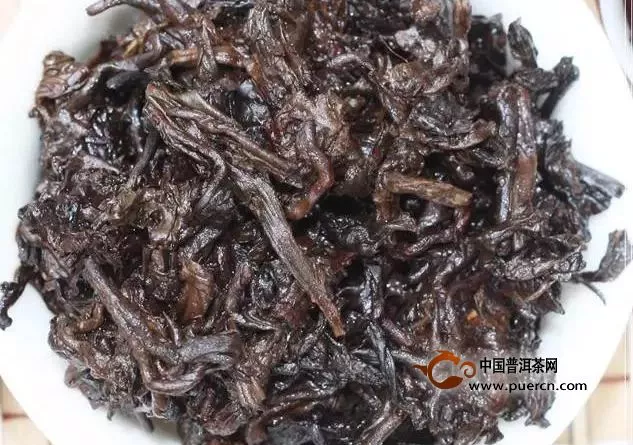 品飲大益普洱茶老茶頭