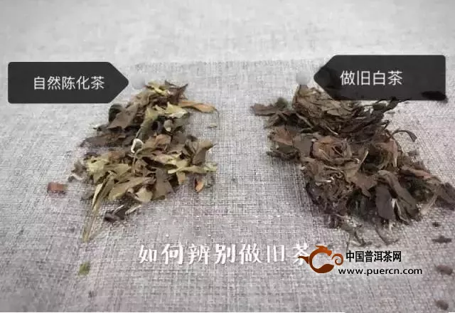 老白茶也能做舊？該如何鑒別老白茶是不是真的？