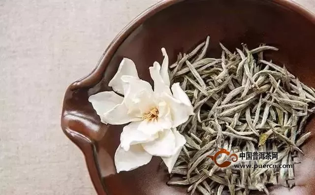 白毫銀針鑒賞：茶中的大美和極簡(jiǎn)主義者