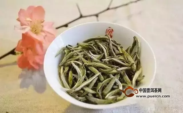 白毫銀針鑒賞：茶中的大美和極簡主義者