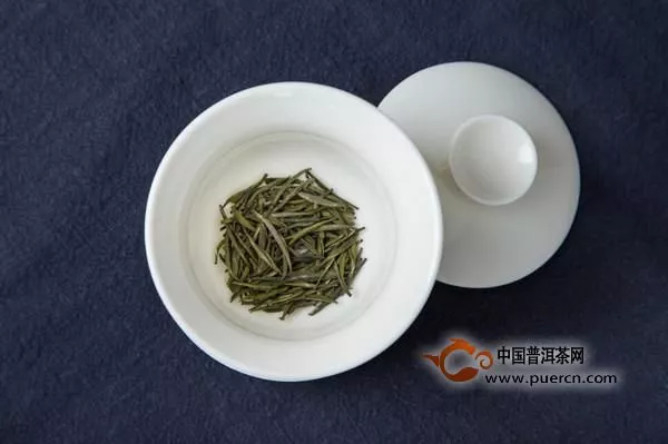 綠茶的投茶量