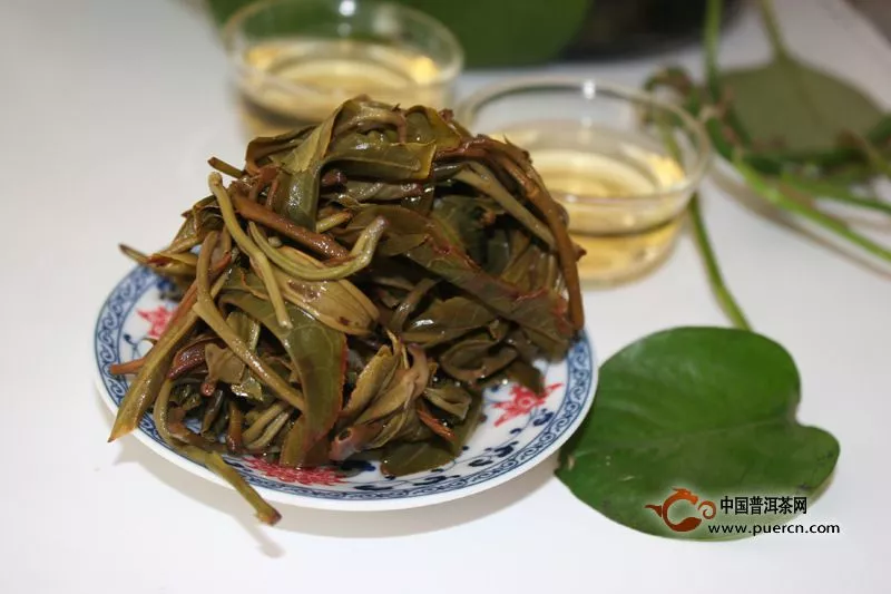 秋茶上新时，如何区分普洱茶的春茶和秋茶？