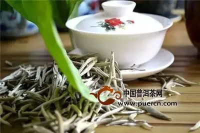 點評白茶的專業(yè)術(shù)語知多少？