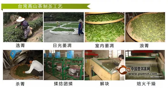 台湾高山茶制作工艺