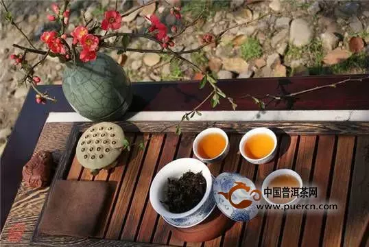 霜降后，老中医教您怎样喝茶养生？