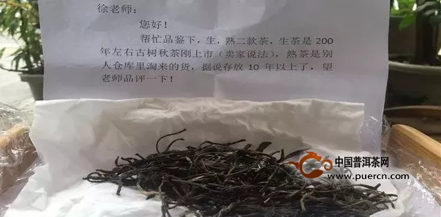 【老徐鉴茶】200年树龄普洱古树秋茶品鉴报告