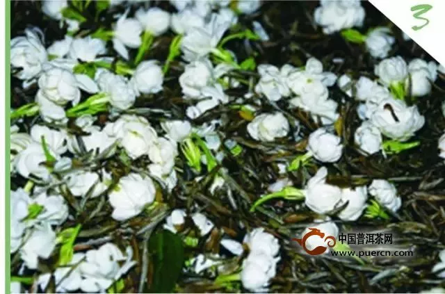 茉莉花茶制作过程图解