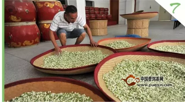 茉莉花茶制作過程圖解