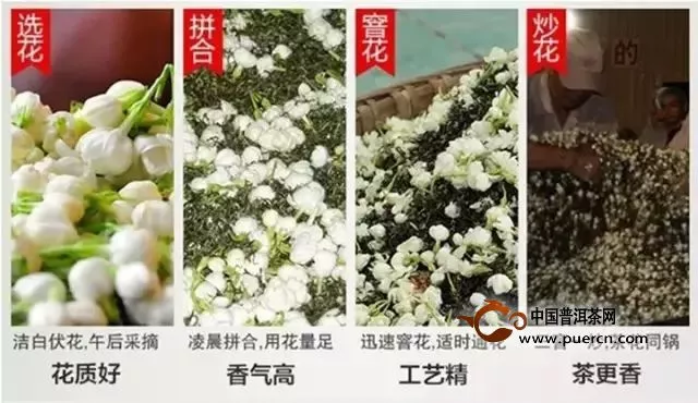 茉莉花茶制作过程图解