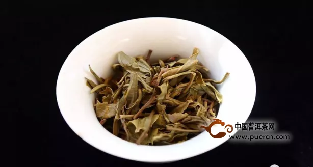 臨滄勐庫(kù)百花樹(shù)古樹(shù)茶葉底