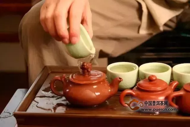 溫和不僅是普洱茶的生命品性，也是一切生命的品性