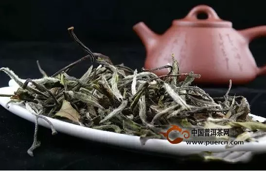 白牡丹茶如何沖泡？詳解白牡丹茶的沖泡方法大全