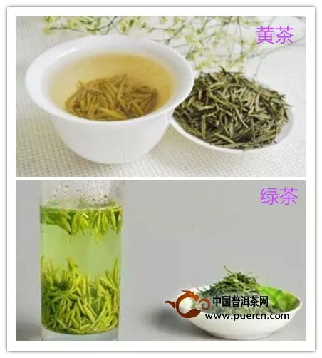 黃茶好還是綠茶好