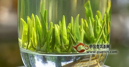 竹葉青茶哪些功效？該如何沖泡好竹葉青茶？