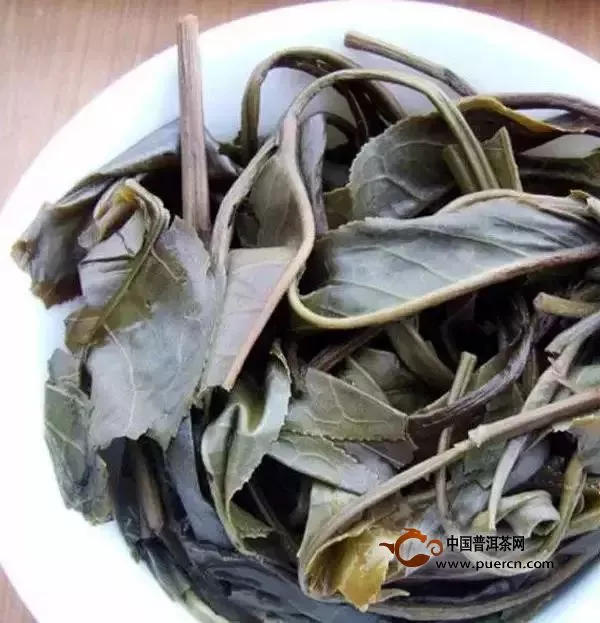 普洱茶的【必學(xué)鑒譜】