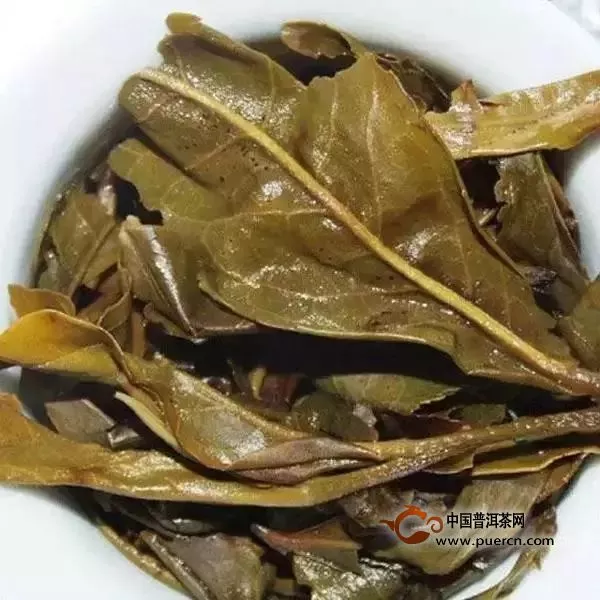 普洱茶的【必學(xué)鑒譜】