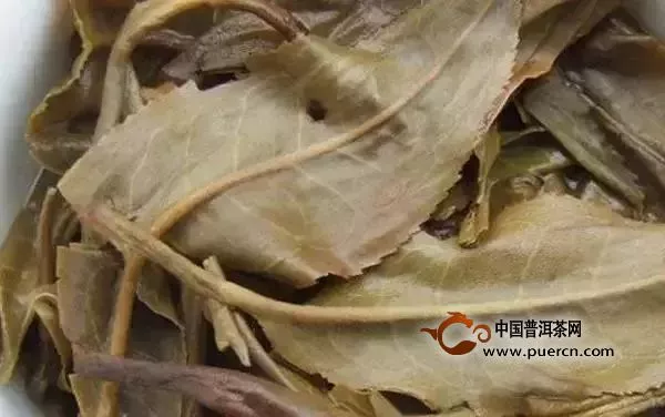 普洱茶的【必学鉴谱】