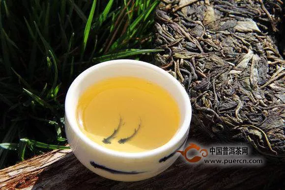浅析普洱茶青饼与绿茶的关系