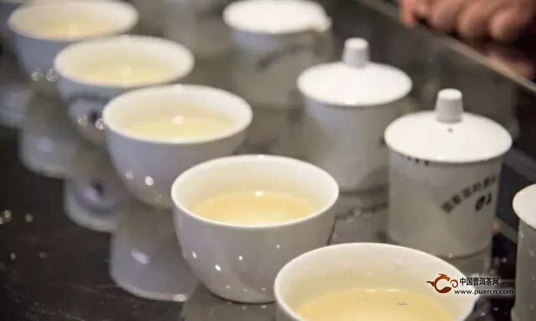 白茶品鉴方法流程