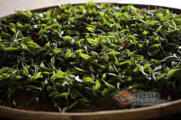 未来普洱茶产业应如何发展